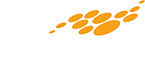 Roaming Technologies logo