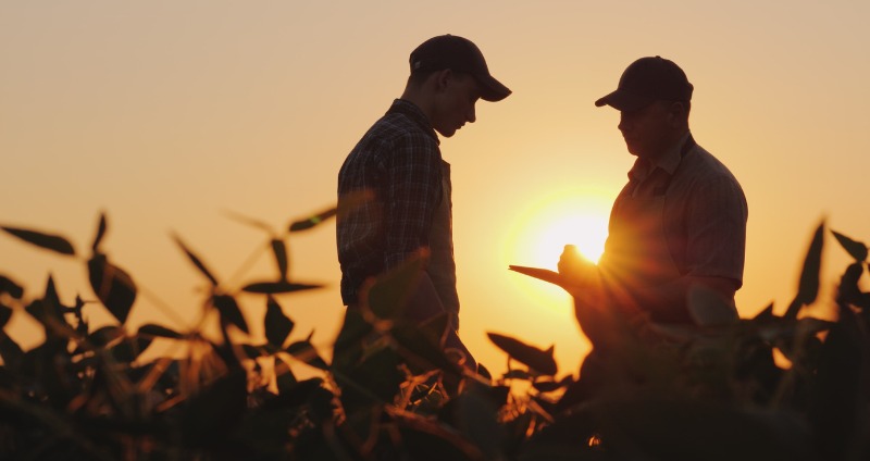 Two field workers using a rugged device out in the sunlight
